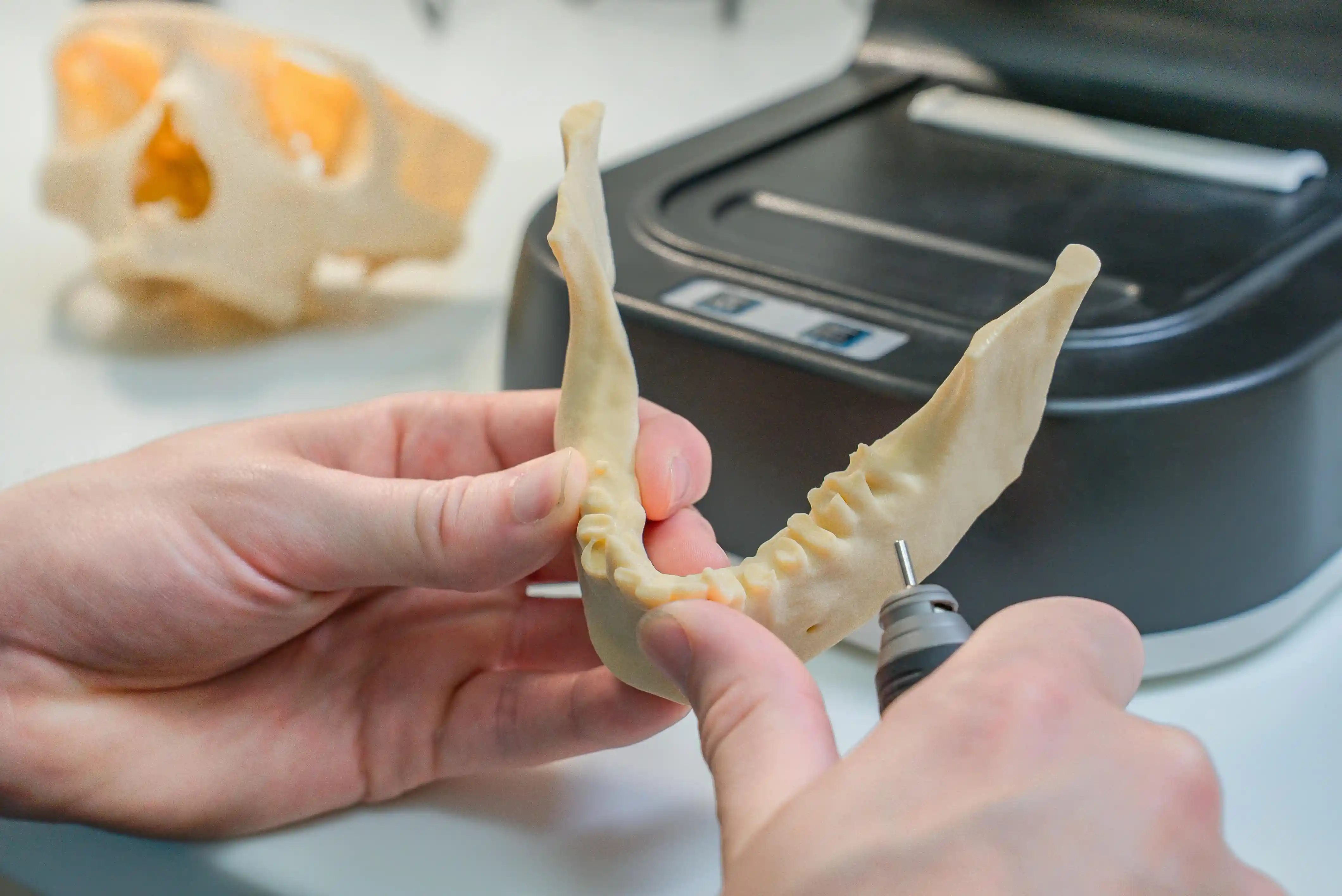General Dentistry